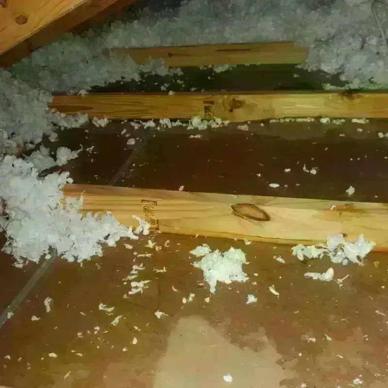 Attic Water Damage in Sublette County, WY